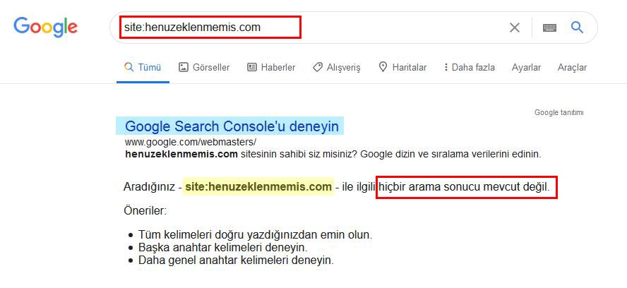 Google'a eklenmemiş site sonucu