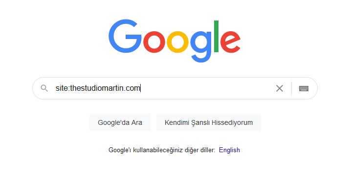 Google'da var mıyız?